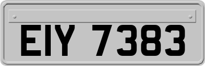EIY7383