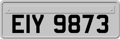 EIY9873