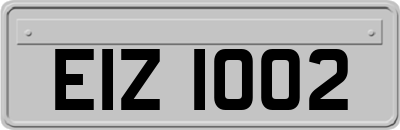 EIZ1002