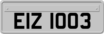 EIZ1003