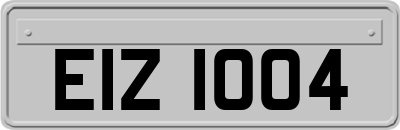 EIZ1004