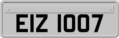 EIZ1007