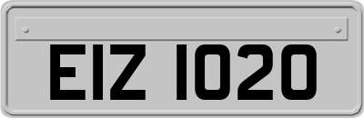 EIZ1020