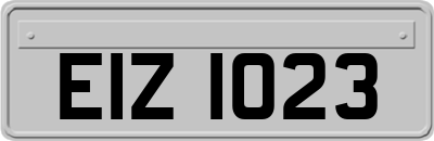 EIZ1023