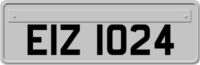 EIZ1024