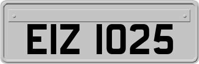 EIZ1025