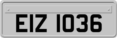 EIZ1036