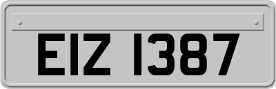 EIZ1387