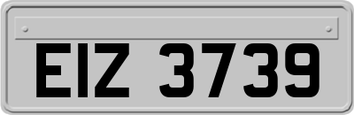 EIZ3739