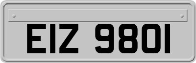 EIZ9801