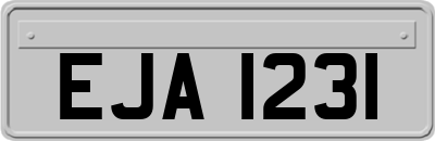 EJA1231