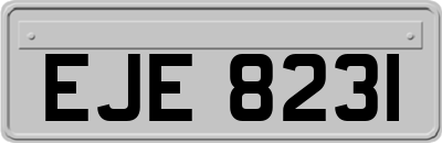 EJE8231