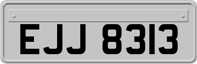 EJJ8313