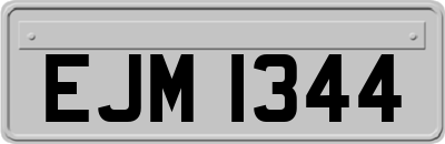 EJM1344