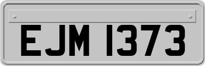 EJM1373