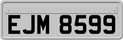 EJM8599