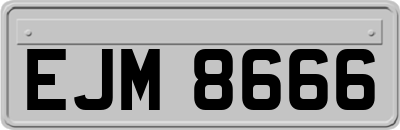 EJM8666