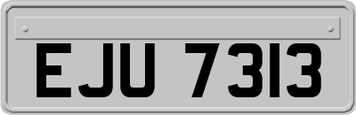 EJU7313