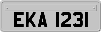 EKA1231