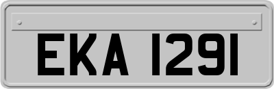 EKA1291