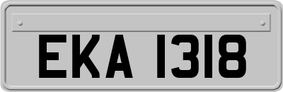 EKA1318