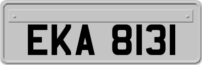 EKA8131
