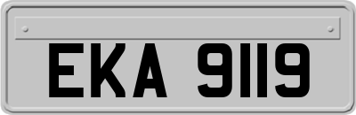 EKA9119