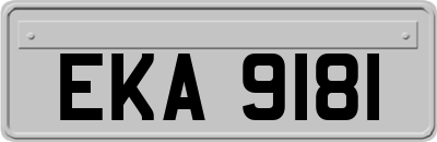 EKA9181