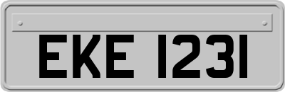 EKE1231