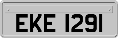 EKE1291