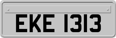 EKE1313