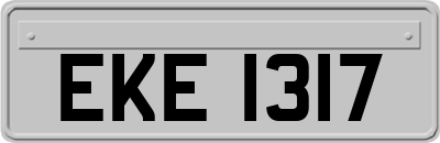 EKE1317