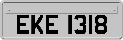 EKE1318