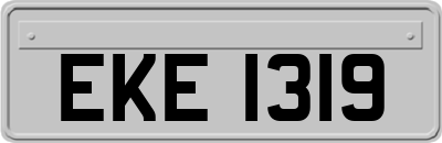 EKE1319