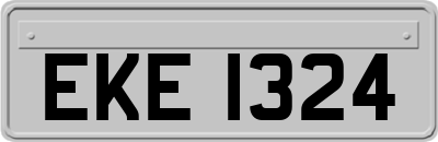 EKE1324