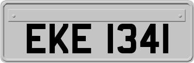 EKE1341