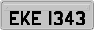 EKE1343