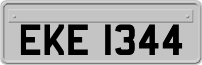 EKE1344