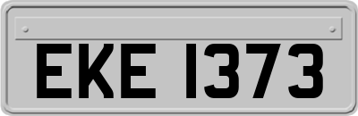 EKE1373