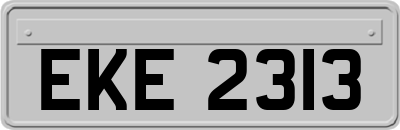 EKE2313