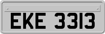 EKE3313