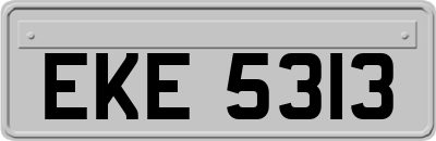 EKE5313