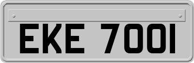 EKE7001