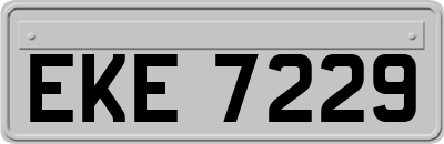 EKE7229