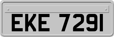 EKE7291
