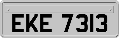 EKE7313
