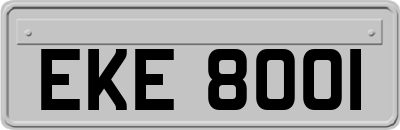 EKE8001
