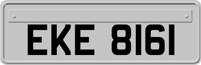EKE8161