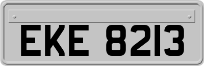 EKE8213