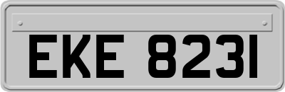EKE8231